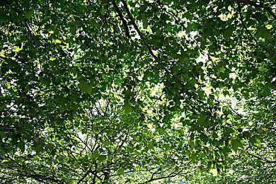 《饥荒：联机版》新更新3月25日上线 制作菜单页面重做